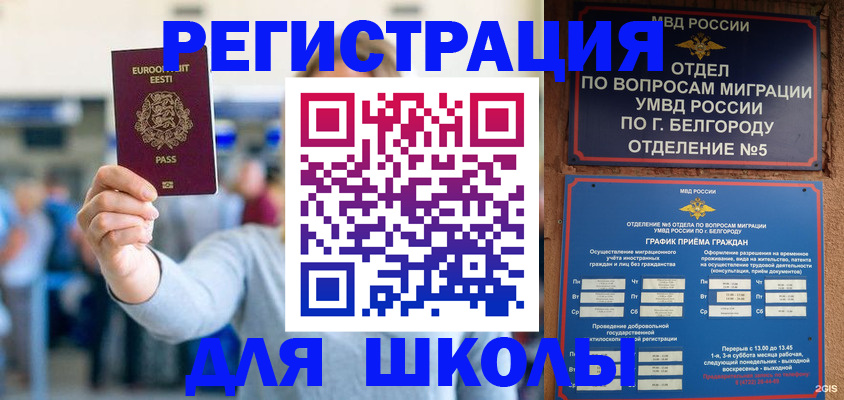 регистрация в Михайловке
